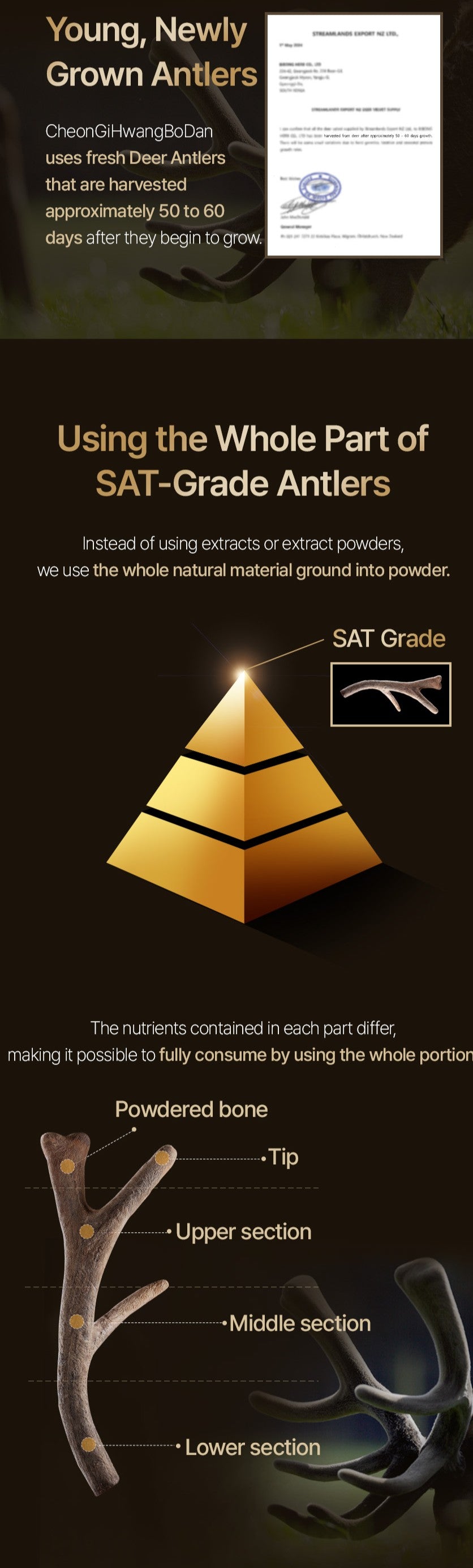 CheonGiHwangBoDan Agarwood Extract Balls (30 Pills)